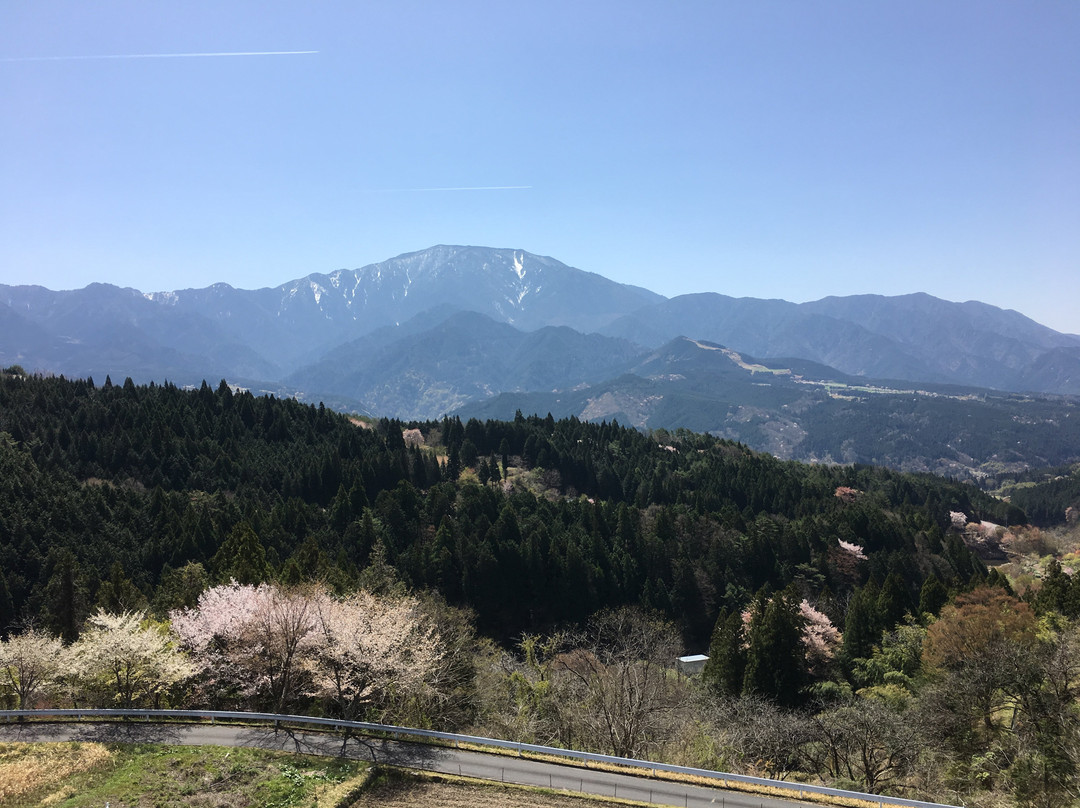 Mt. Ena景点图片
