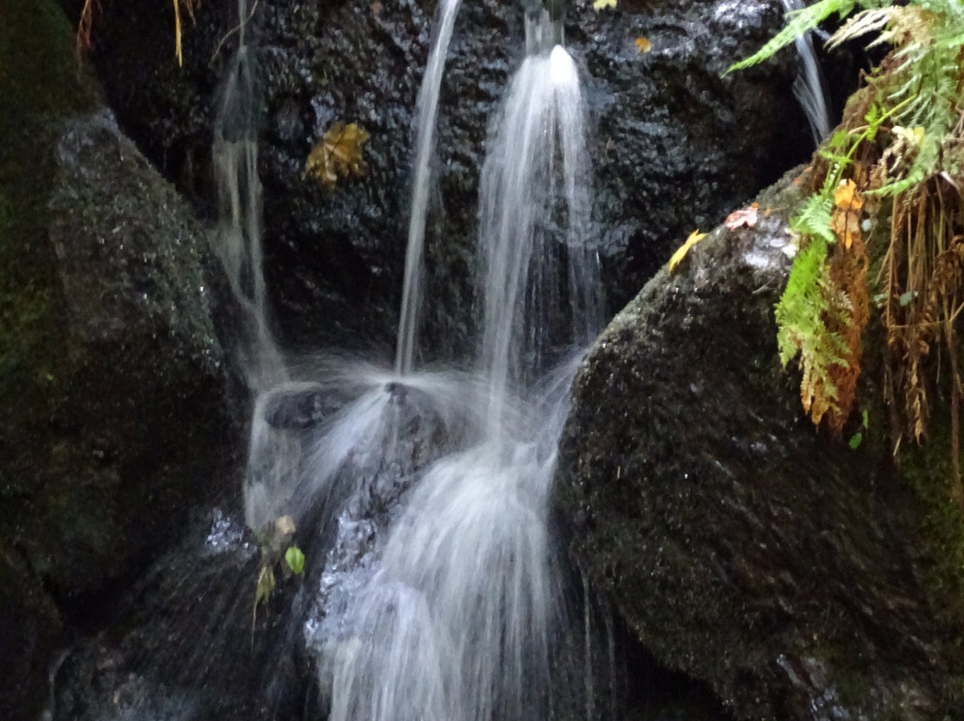 Orick旅游攻略图片
