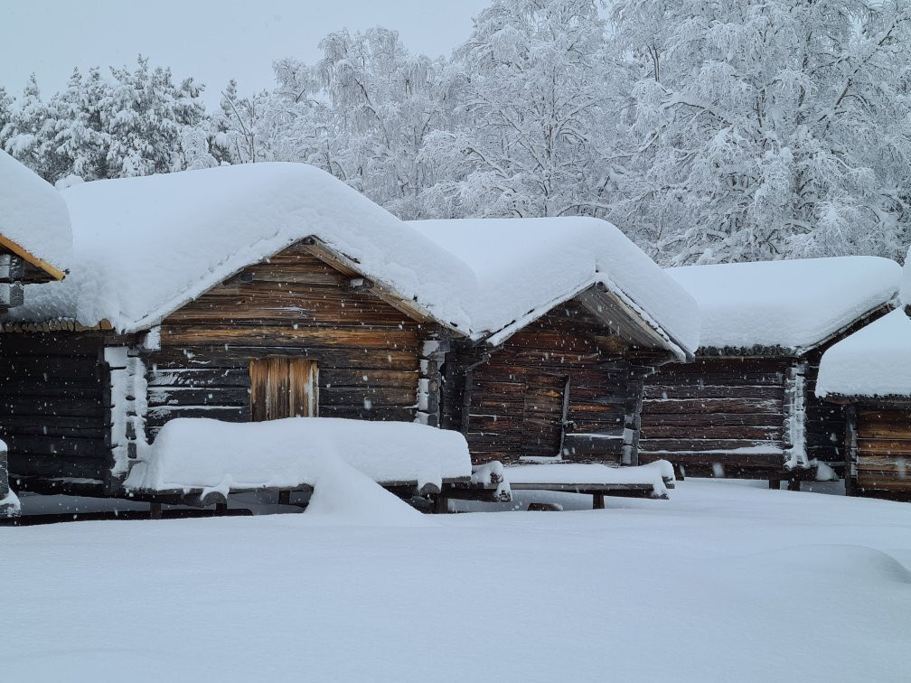 The Sami Town-Arvidsjaur必去景点