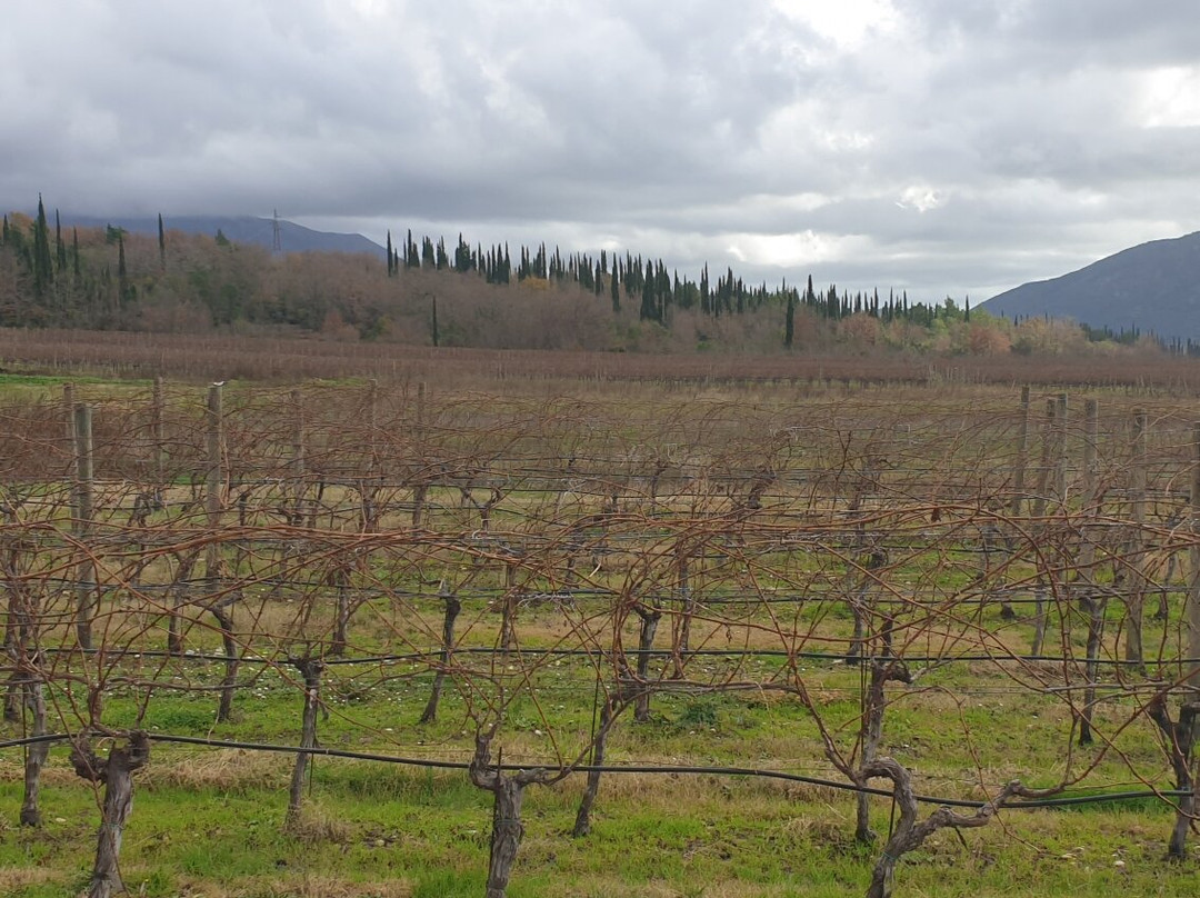 Karaman Winery-Konavle必去景点