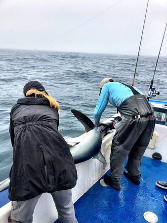 Blue Shark Charters-Eastern Passage必去景点