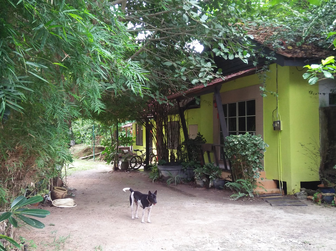 Kampung Padang Mat Sirat旅游攻略图片