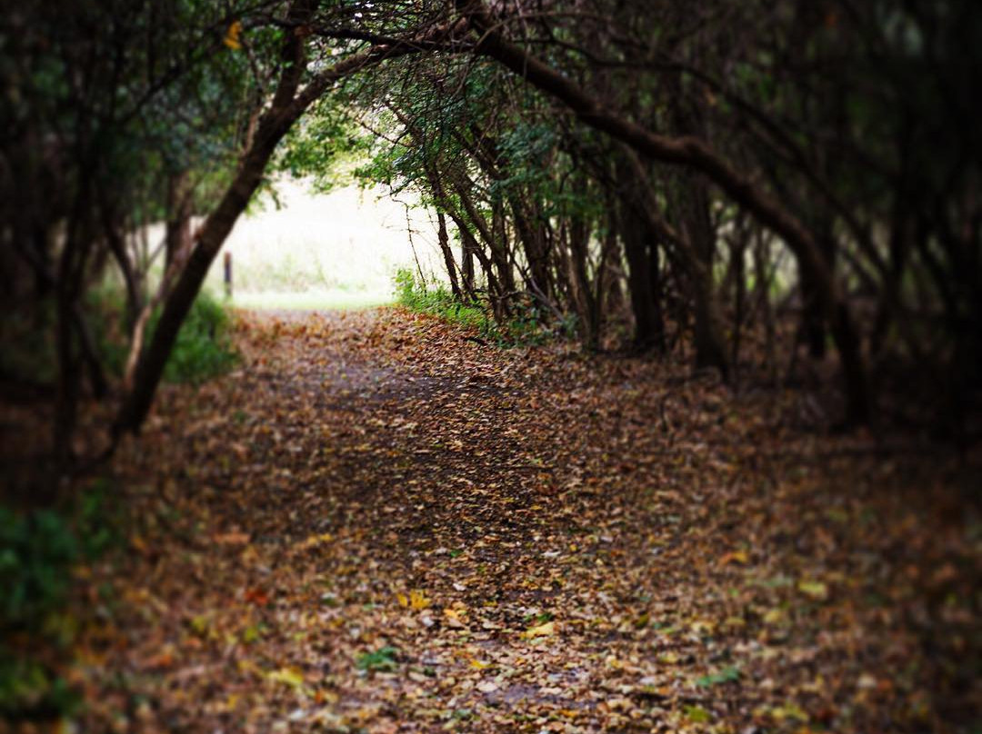 莫米旅游攻略图片