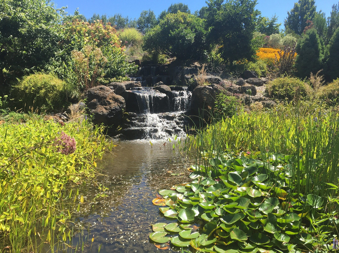 Silverton旅游攻略图片