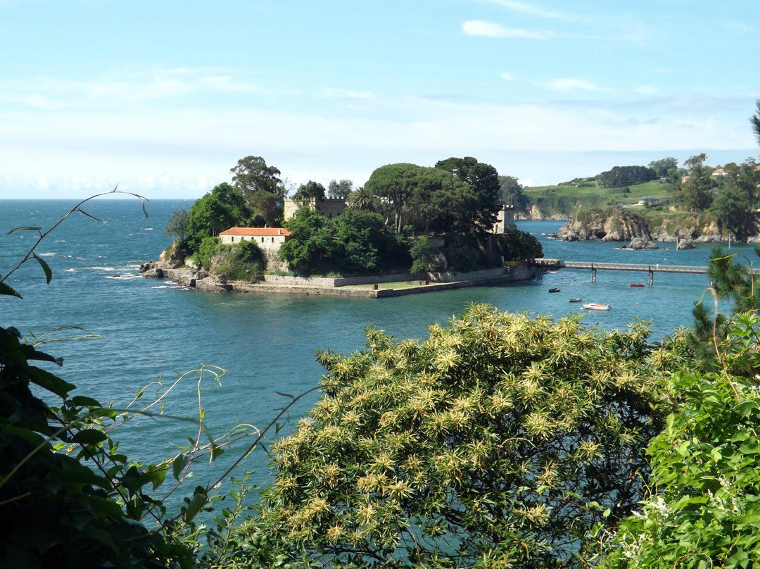 Castelo de Santa Cruz景点图片