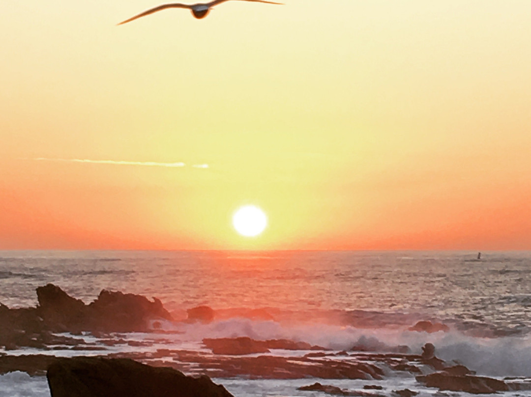 Restaurant Les Rochers