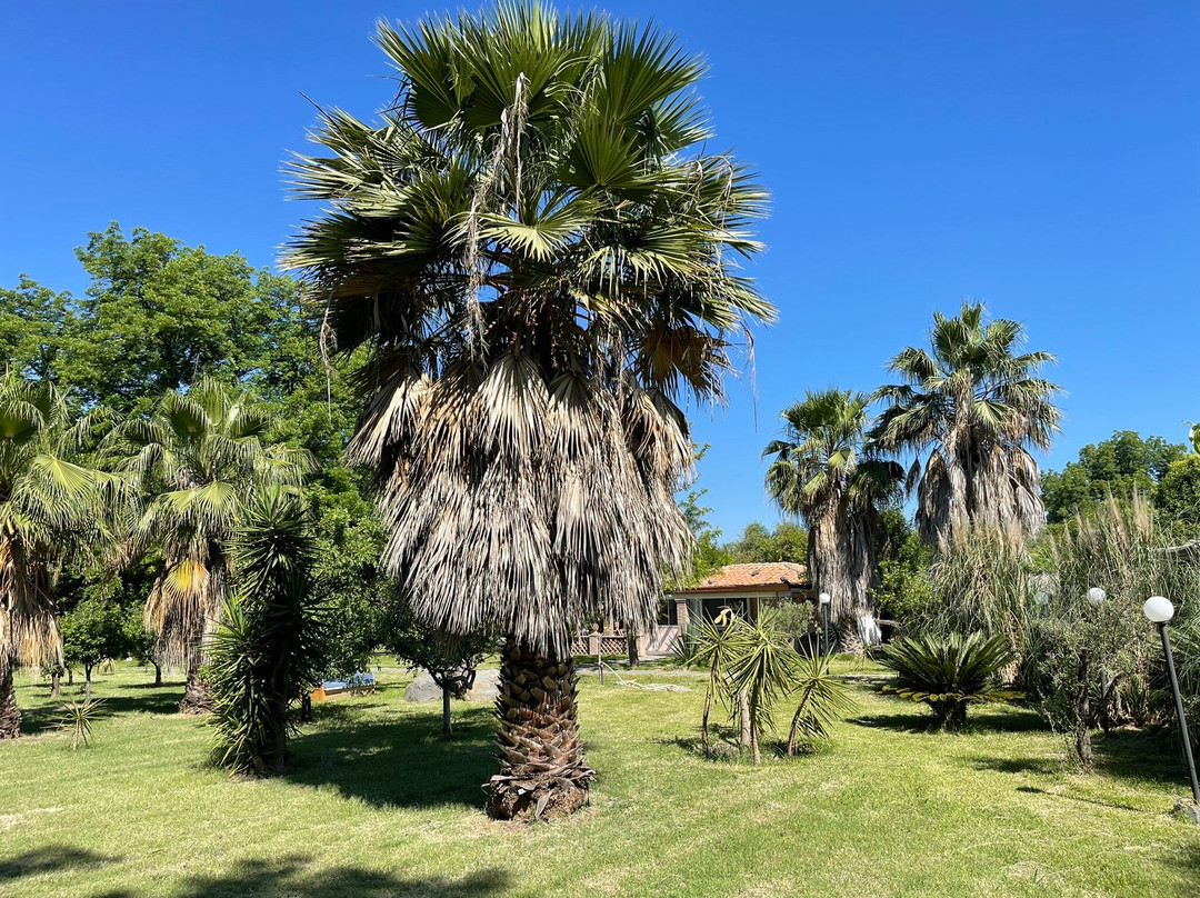 Villa Piersepp