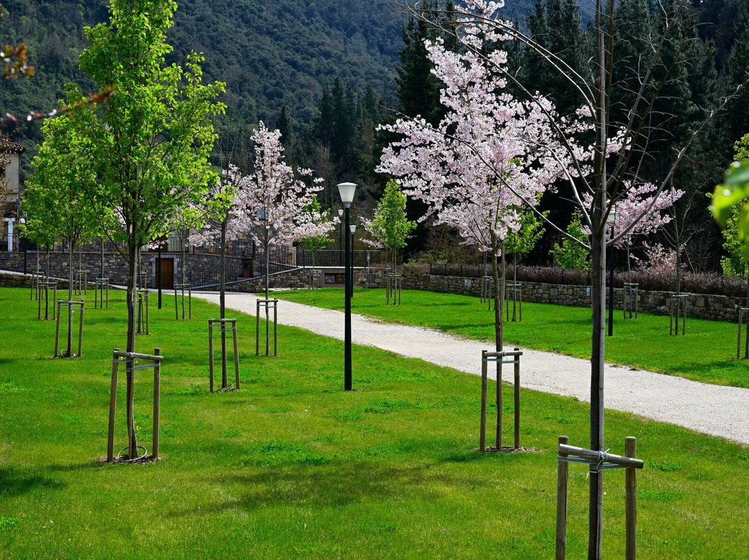 Camping Liébana