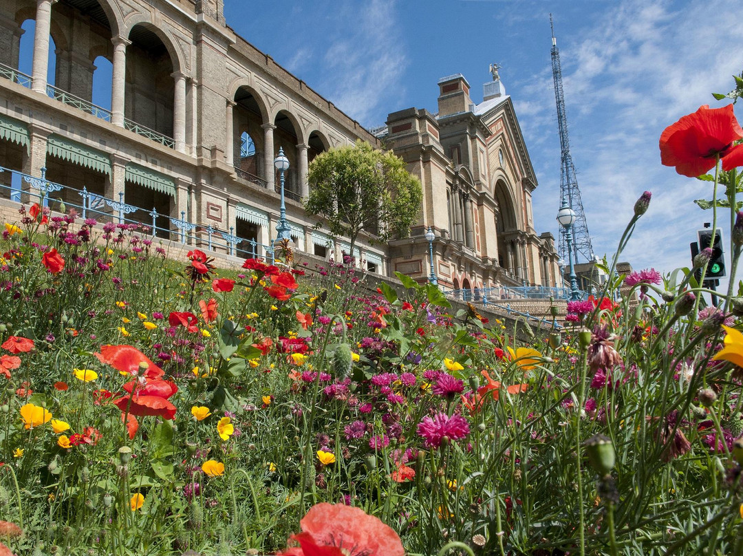 Wood Green旅游景点-亚历山大宫