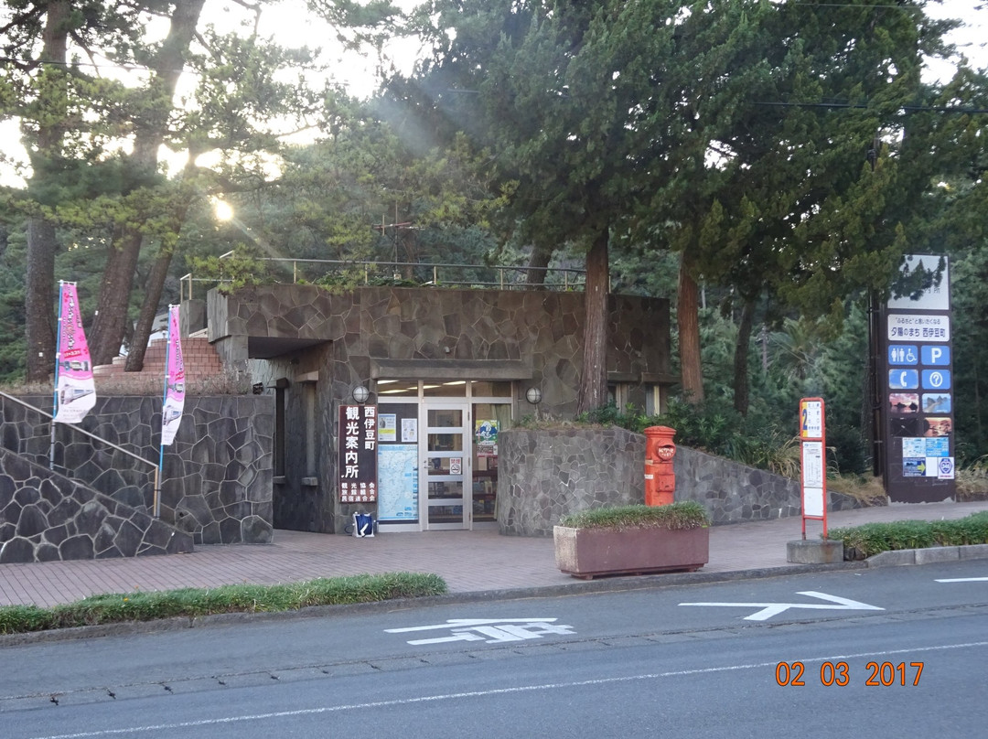 Nishiizucho Tourist Association Dogashima Tourist Information Center景点图片