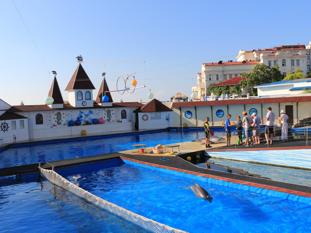 Sevastopol Dolphinarium in Artillery Bay景点图片