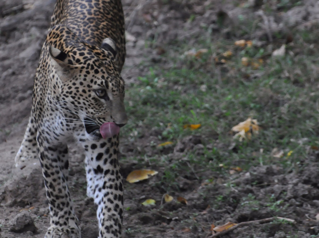 Apsara Tours-Boossa必去景点