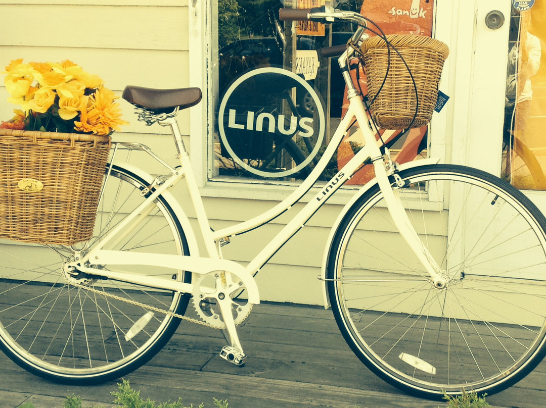 Amagansett Beach and Bicycle景点图片