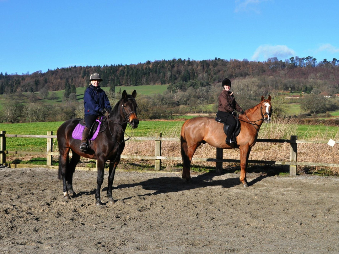 Horse Riding Surrey景点图片