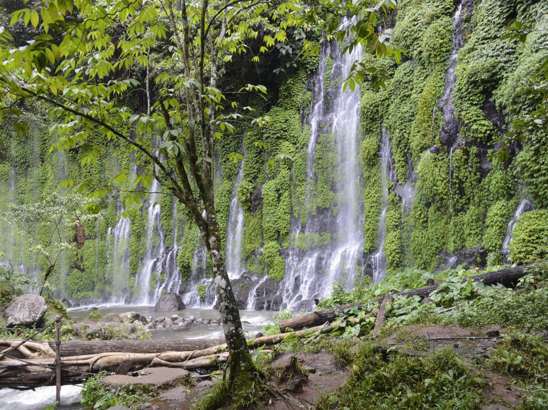 Don Carlos旅游景点-Asik Asik Falls