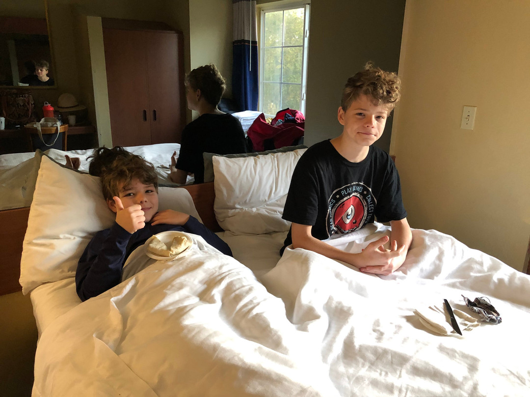 Microtel Inn & Suites by Wyndham Leesburg/Mt Dora主图