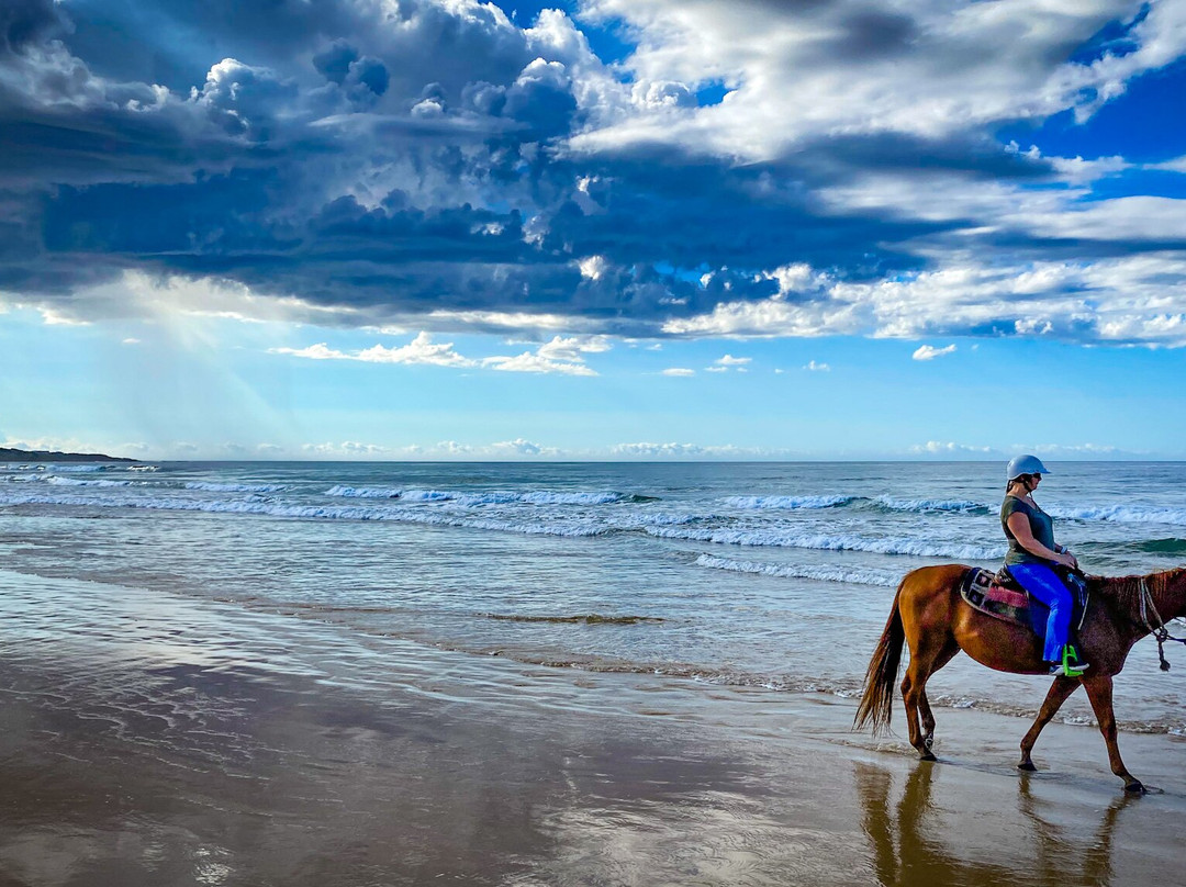 Sahara Trails Horse Riding景点图片
