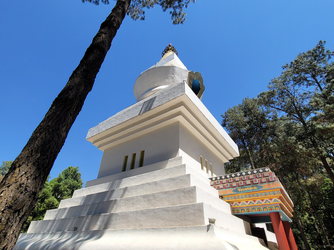 ViveValle-巴耶－德布拉沃必去景点