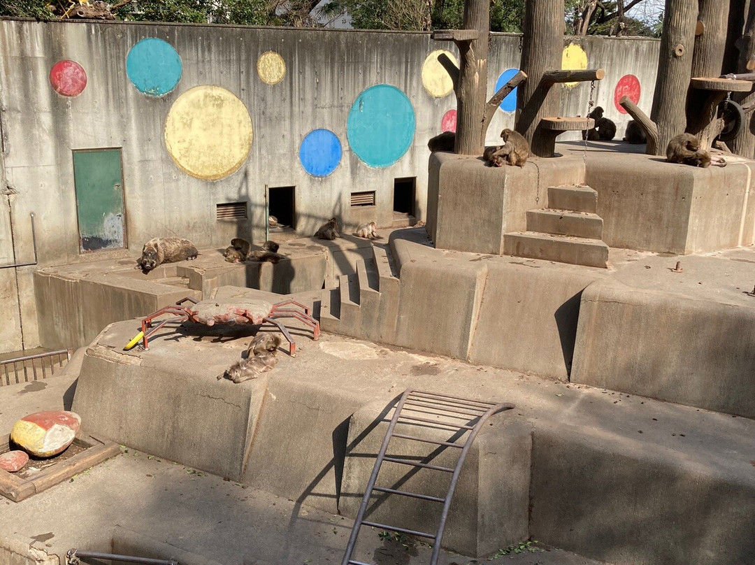 Hamura Zoo-羽村市必去景点