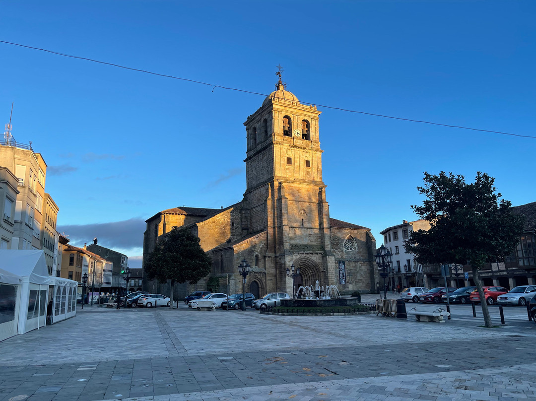 Colegiata de San Miguel景点图片