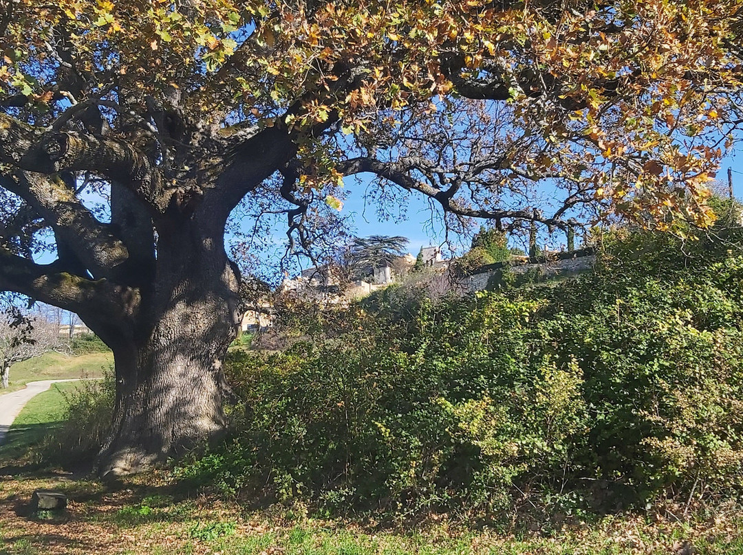 Les Jardins d'Eleusis主图