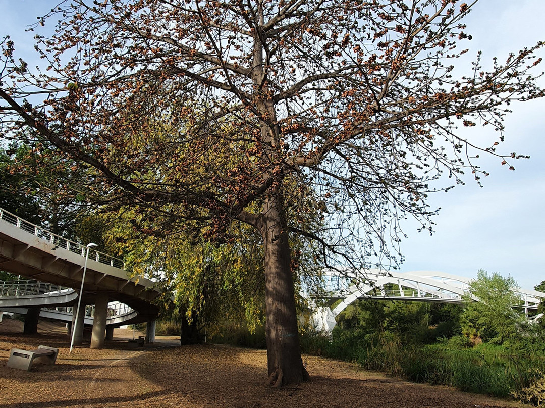 Parque de la Riberas-Culiacan必去景点