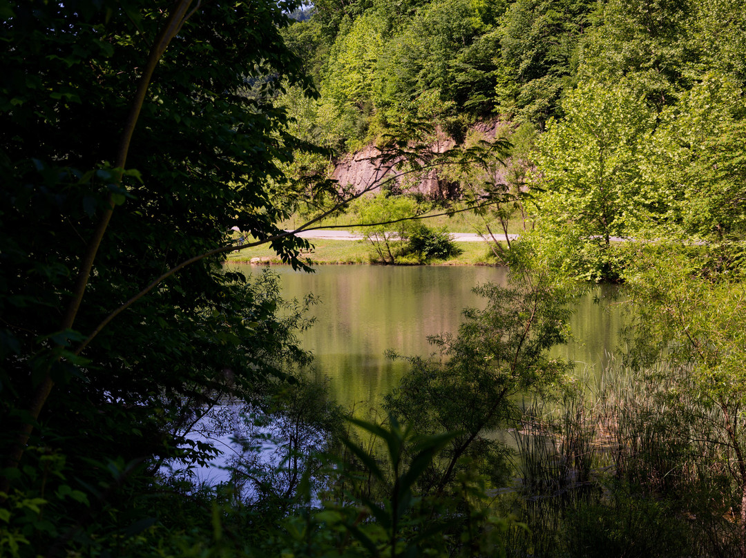 Chief Logan State Park-Logan必去景点