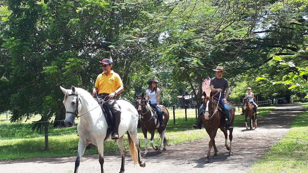 Casagua Horses Tours景点图片