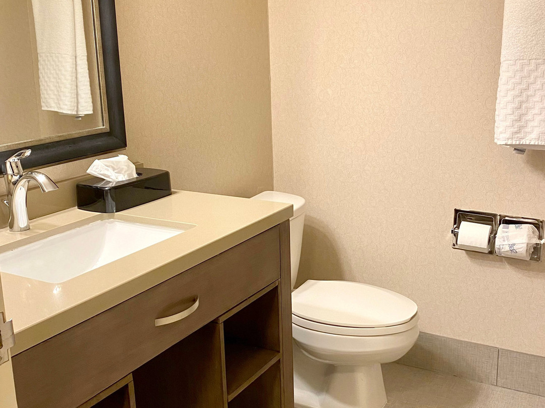 木棉树贝斯特韦斯特酒店主图