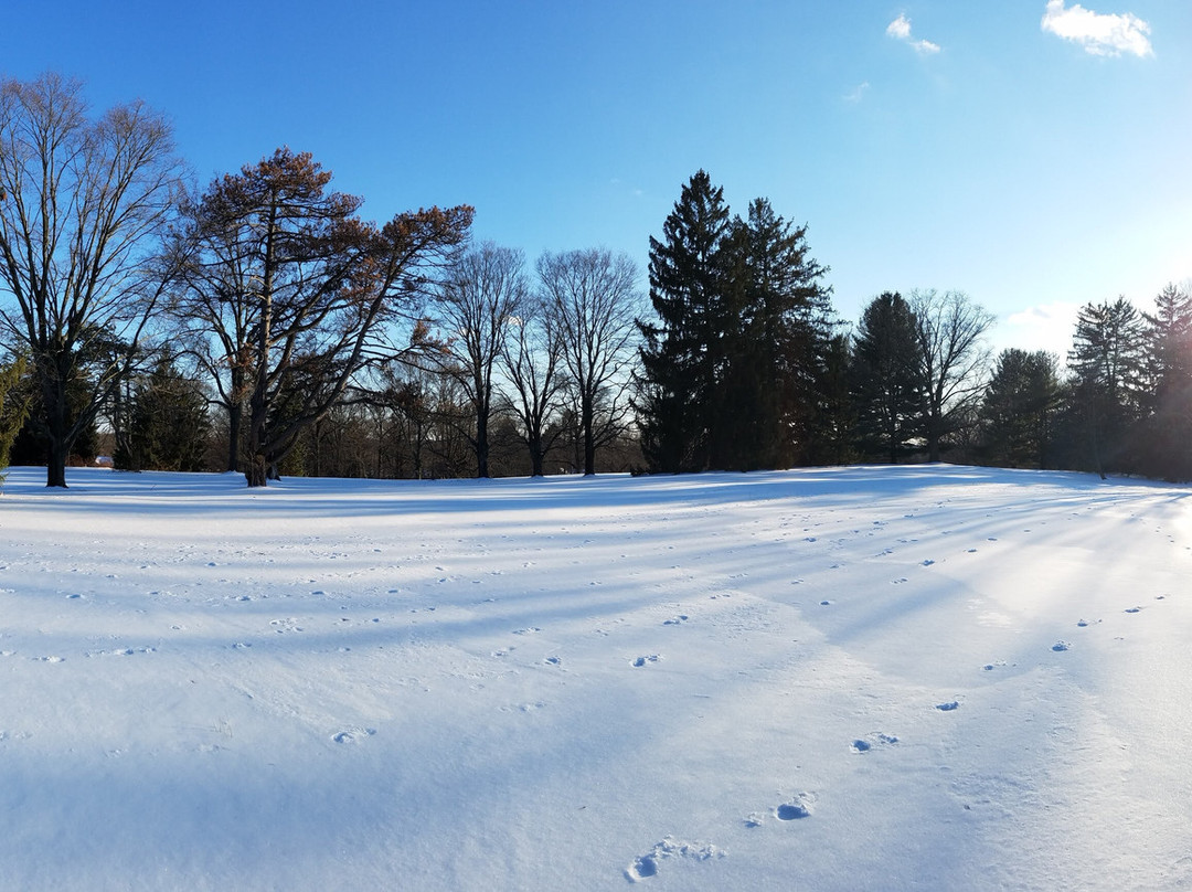 Cadwalader Park景点图片