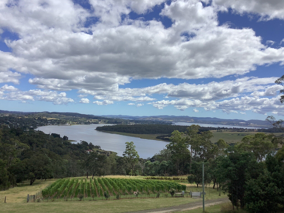 Brady's Lookout-Rosevears必去景点