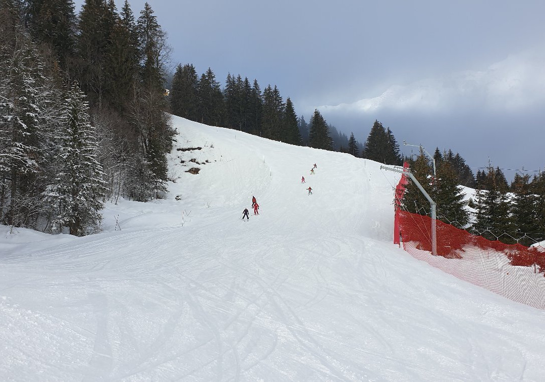 Ecole Suisse de Ski de Gryon-Gryon必去景点