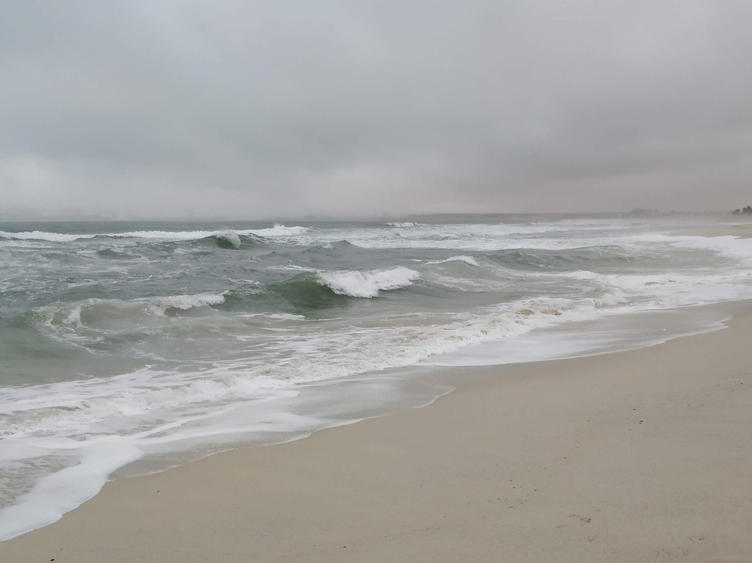 Samharam Resorts主图