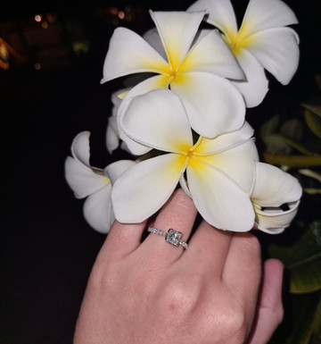 Cape Diamonds-开普敦中心区必去景点