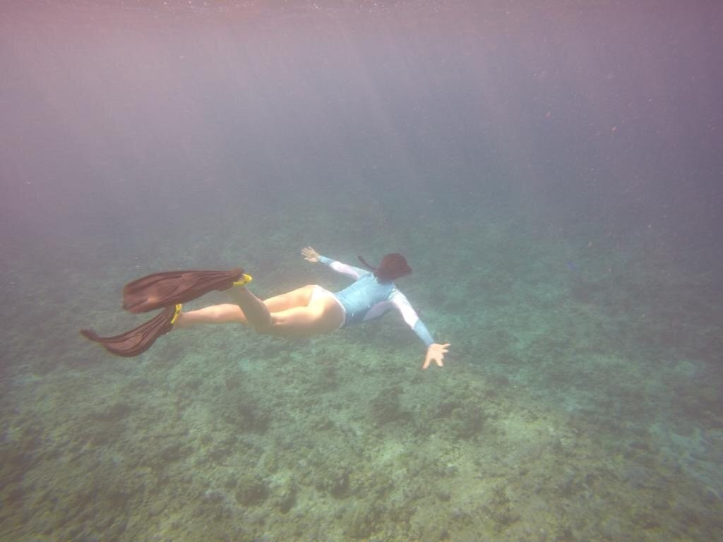 Koamas Dive & Water Sports Centre-Madivaru必去景点