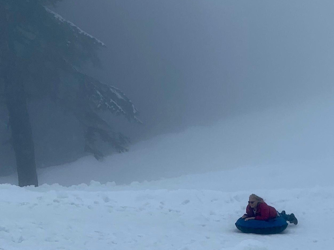 Mount Seymour Provincial Park-北温哥华必去景点