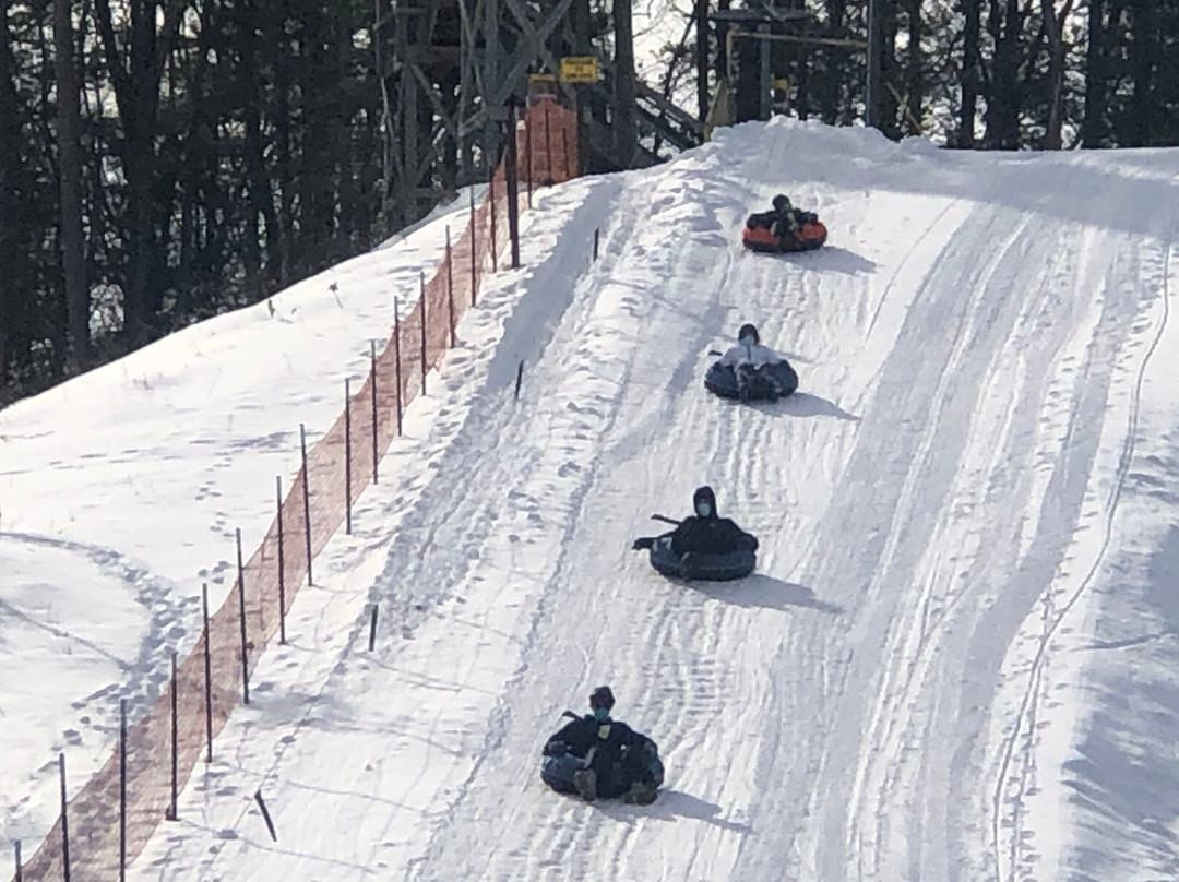 Mt. Holiday Ski Resort景点图片