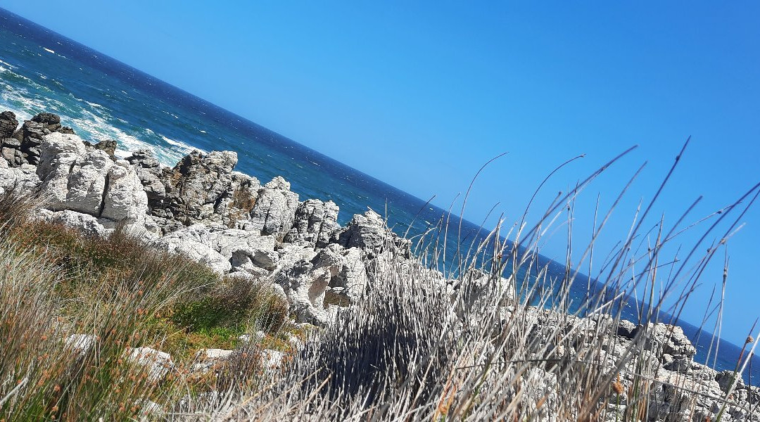 Kleinmond Beach-小月必去景点