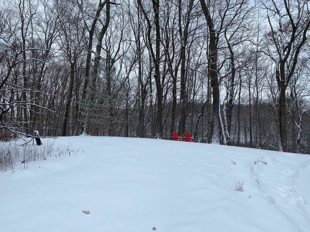 Hidden Serenity B&b Getaway & Spa主图