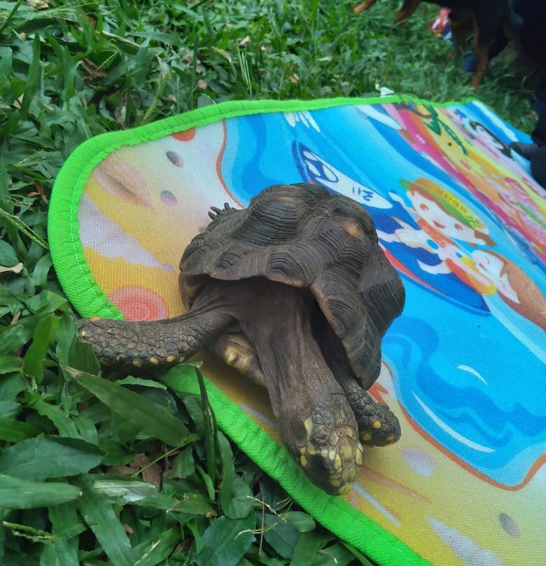 Ecoparque de las Garzas-卡利必去景点