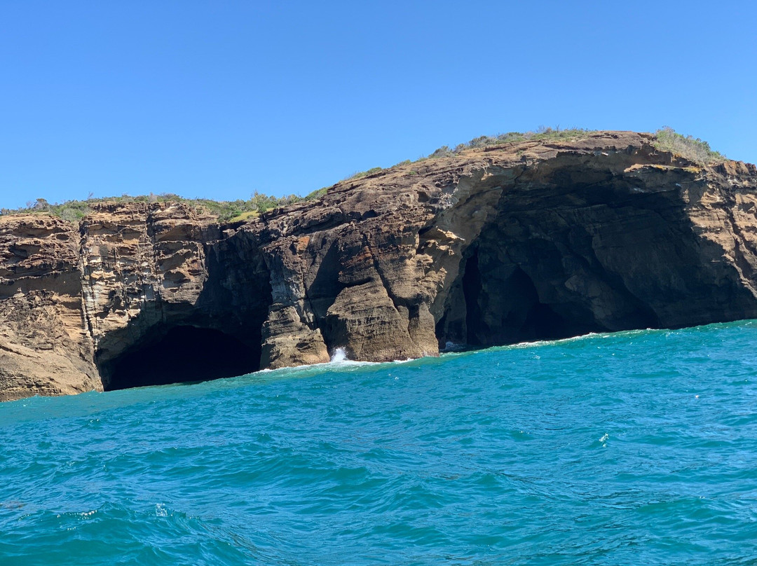 CoastXP-纽卡斯尔必去景点