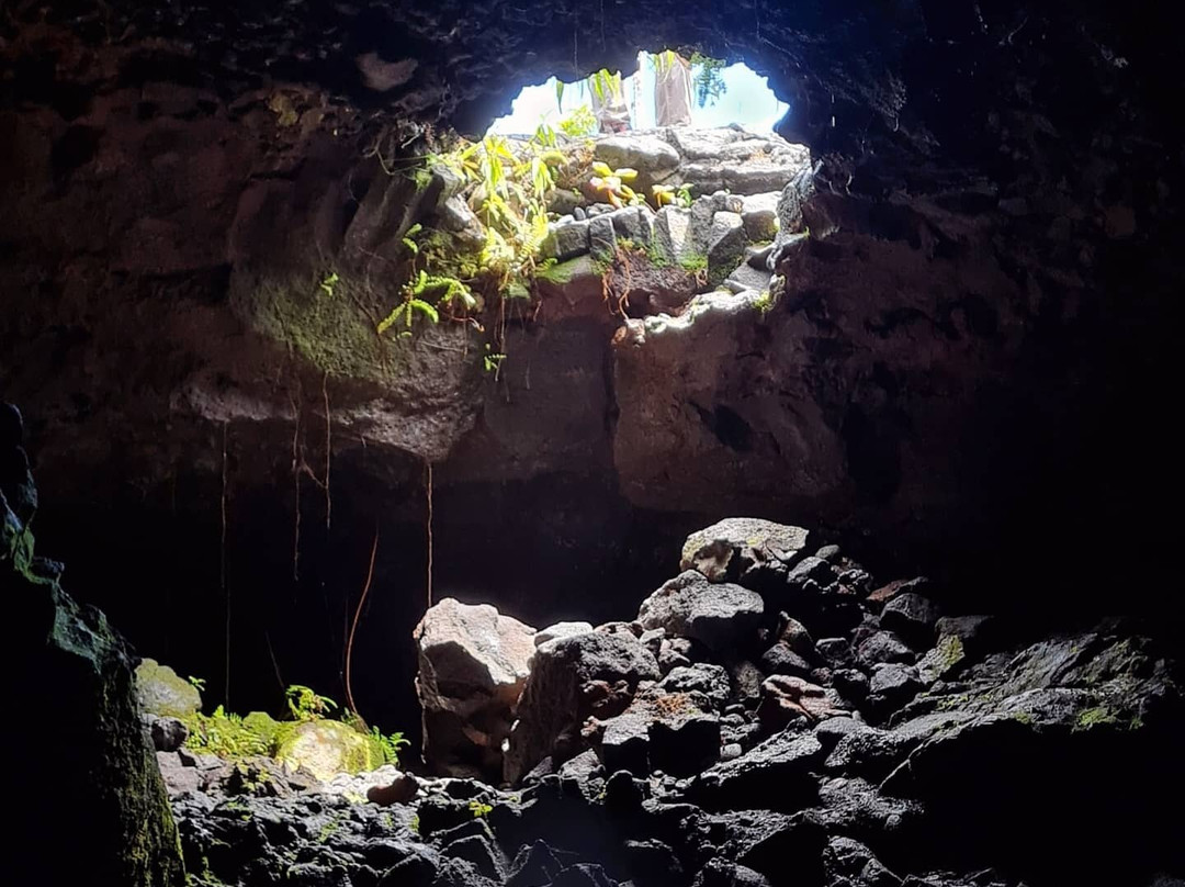Bazaltik Réunion, Tunnels de lave景点图片