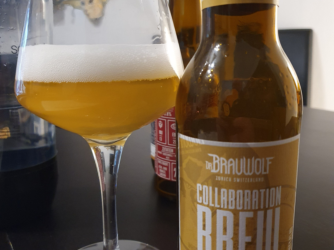 Swiss Beer Tours | Zurich Beer Tour-苏黎世必去景点