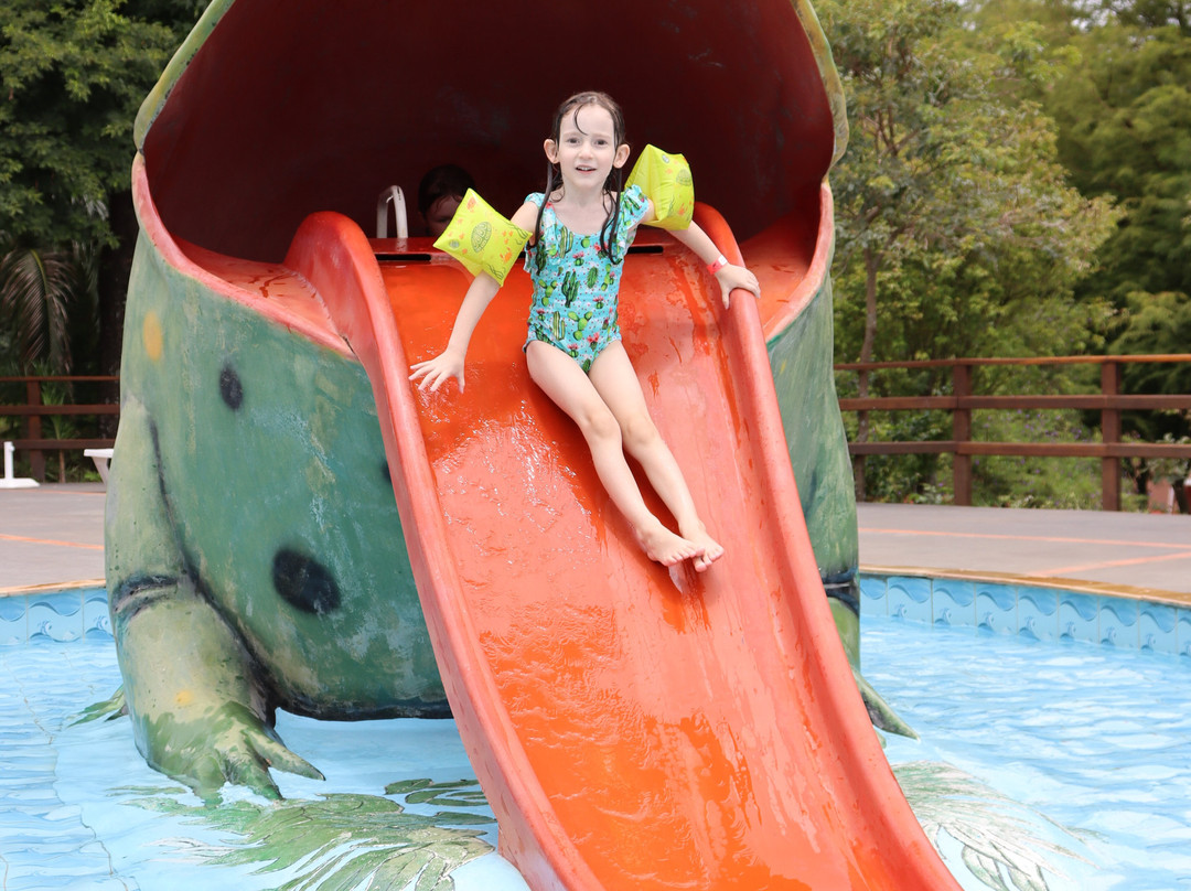 Maestro Termas Park Hotel主图