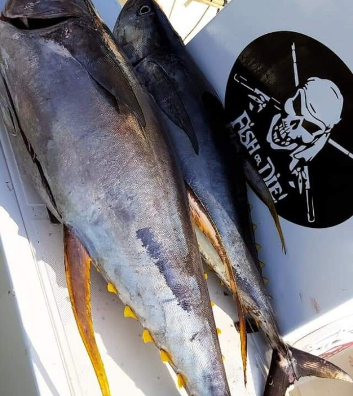 O'nostresss-Le Vauclin必去景点