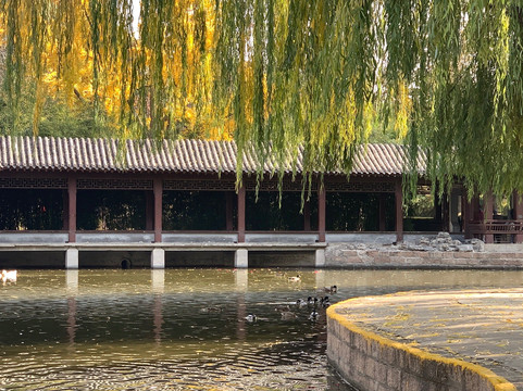 团结湖公园-北京市必去景点