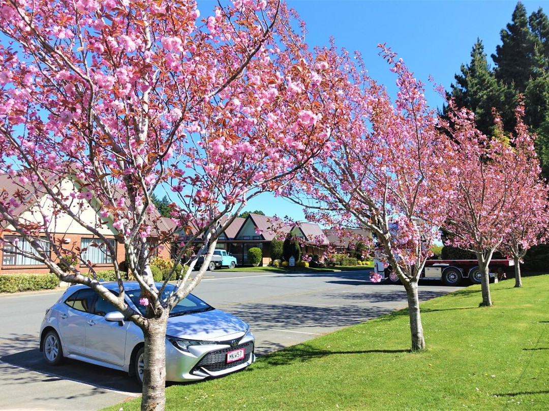 阿斯科特赛马场公园酒店主图