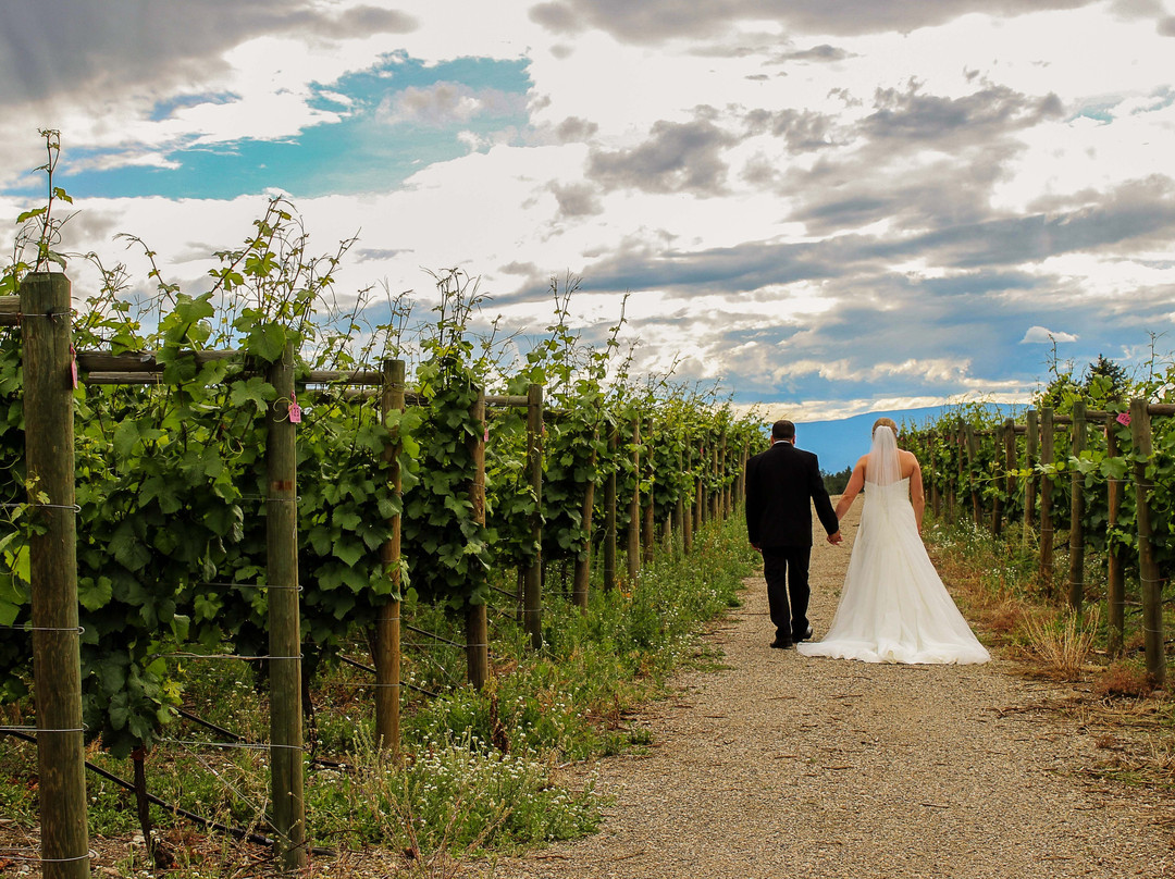 SpearHead Winery-基洛纳必去景点