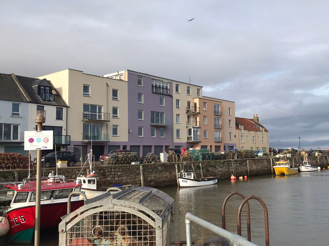 St Andrews Harbour Trust-圣安德鲁斯必去景点