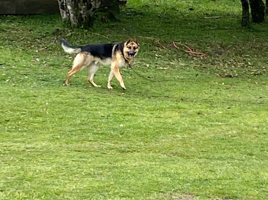 Pousada Guardiao da Montanha主图